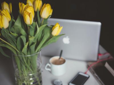 Yellow tulips and Macbook